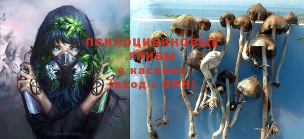 MESCALINE Ельня