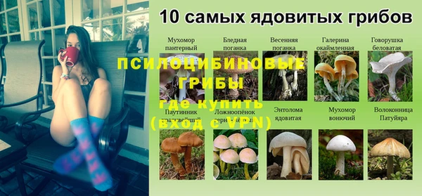 MESCALINE Ельня